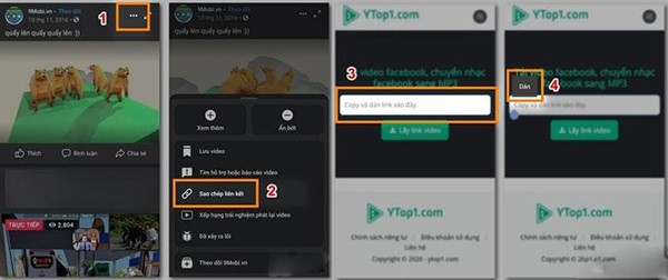 Lựa chọn phần Copy and paste link here